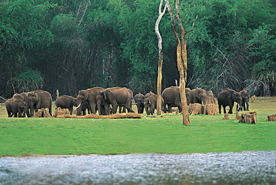 Periyar, Thekkaday