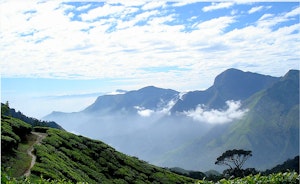 Discover Munnar's Ecology & Culture: Nature's Beauty Meets Cultural Charms!
